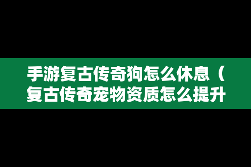 手游复古传奇狗怎么休息（复古传奇宠物资质怎么提升）