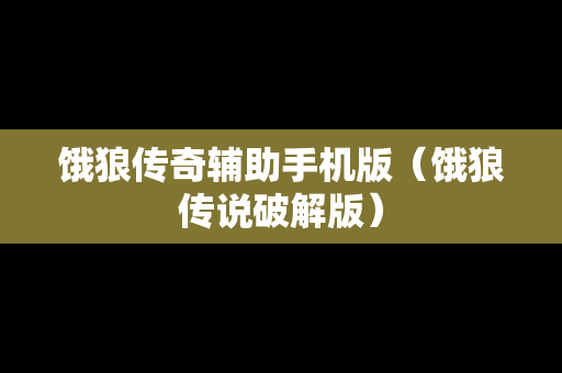 饿狼传奇辅助手机版（饿狼传说破解版）