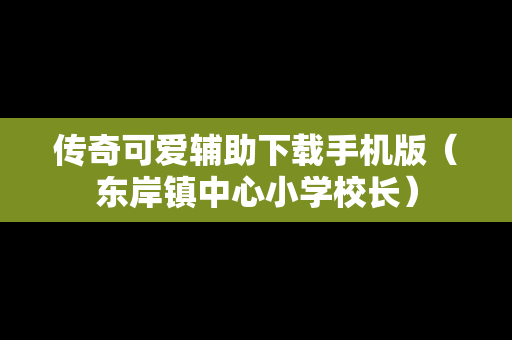传奇可爱辅助下载手机版（东岸镇中心小学校长）