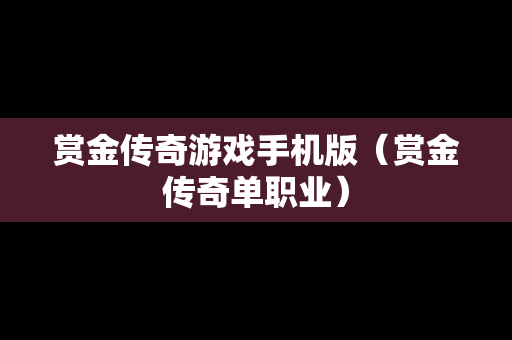 赏金传奇游戏手机版（赏金传奇单职业）