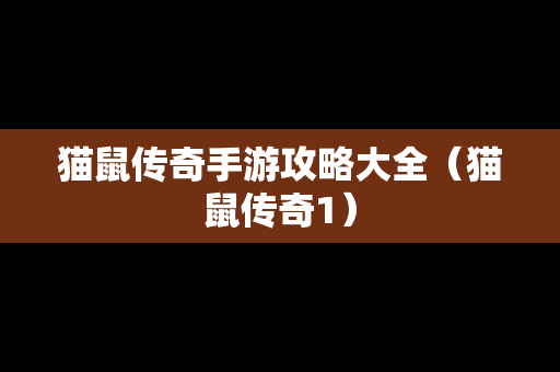 猫鼠传奇手游攻略大全（猫鼠传奇1）