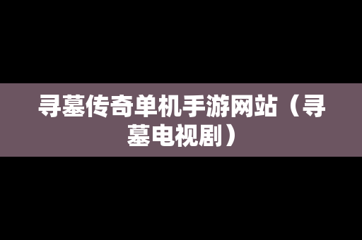 寻墓传奇单机手游网站（寻墓电视剧）
