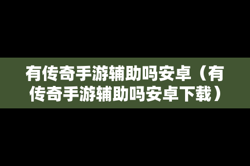有传奇手游辅助吗安卓（有传奇手游辅助吗安卓下载）