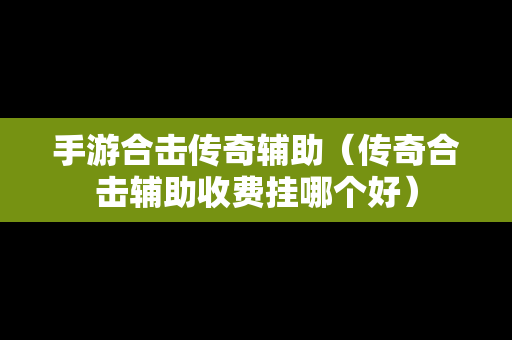 手游合击传奇辅助（传奇合击辅助收费挂哪个好）